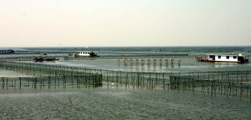 阳澄湖